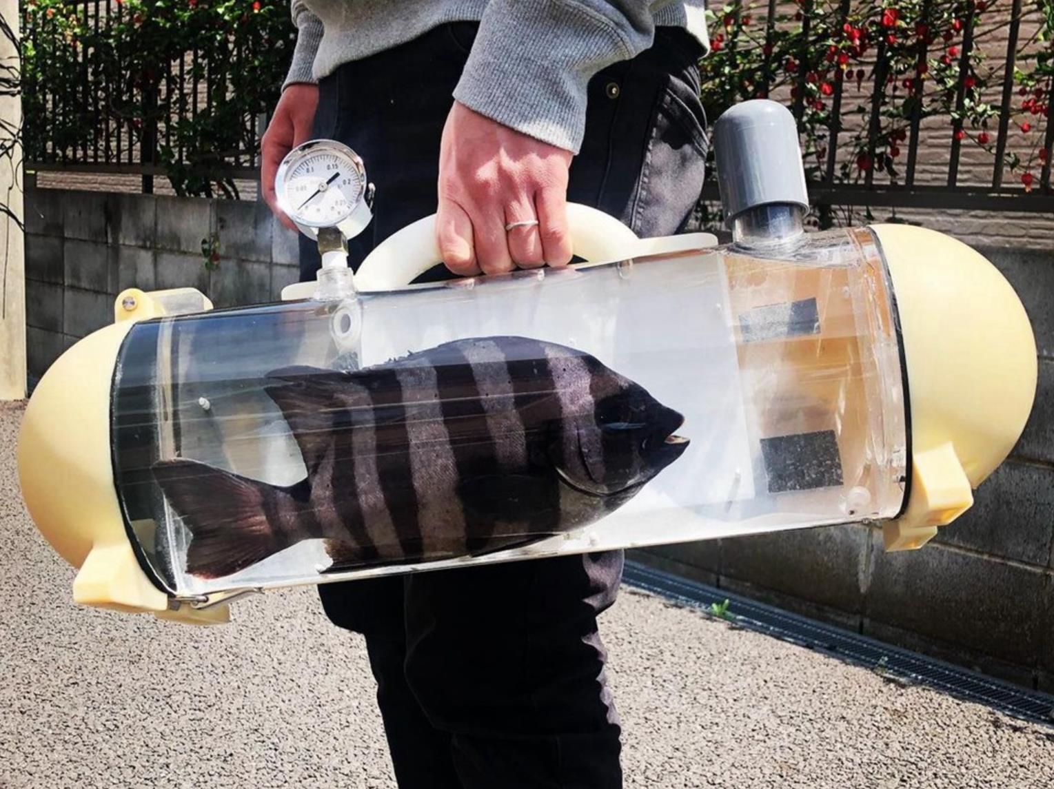 移动水族缸